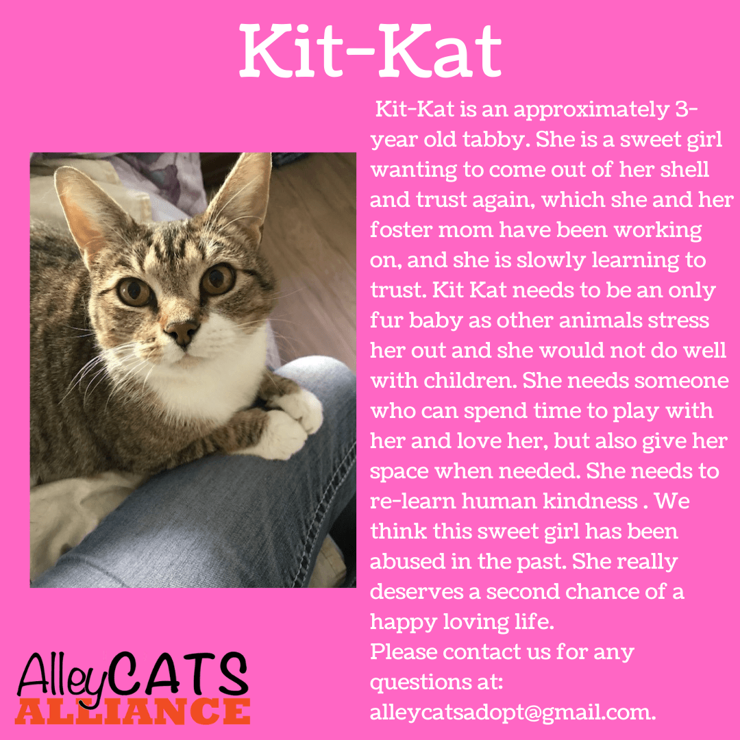 Kit-Kat