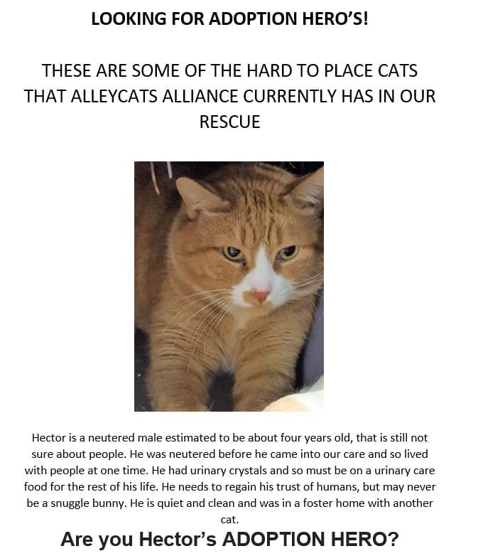 Hector
