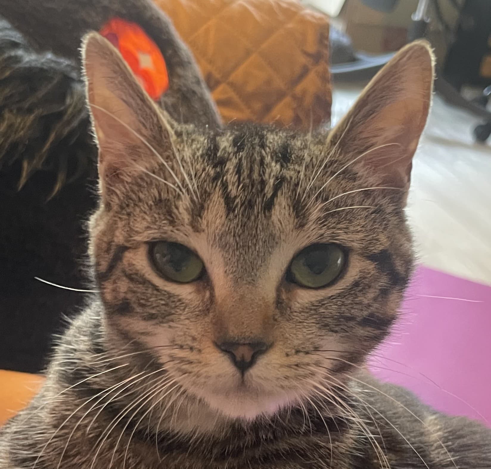 Prudence