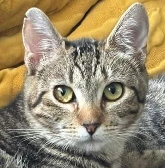 Sabrina