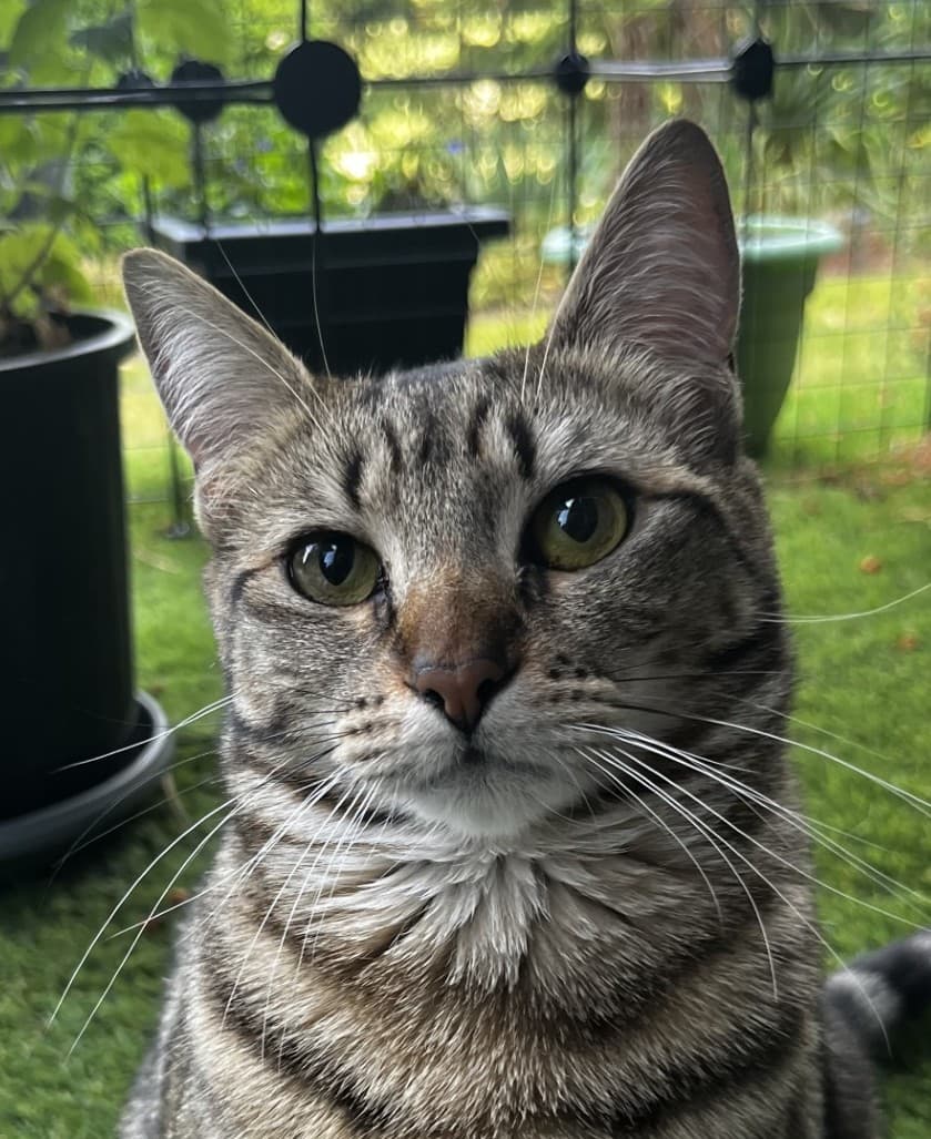 Rosie
