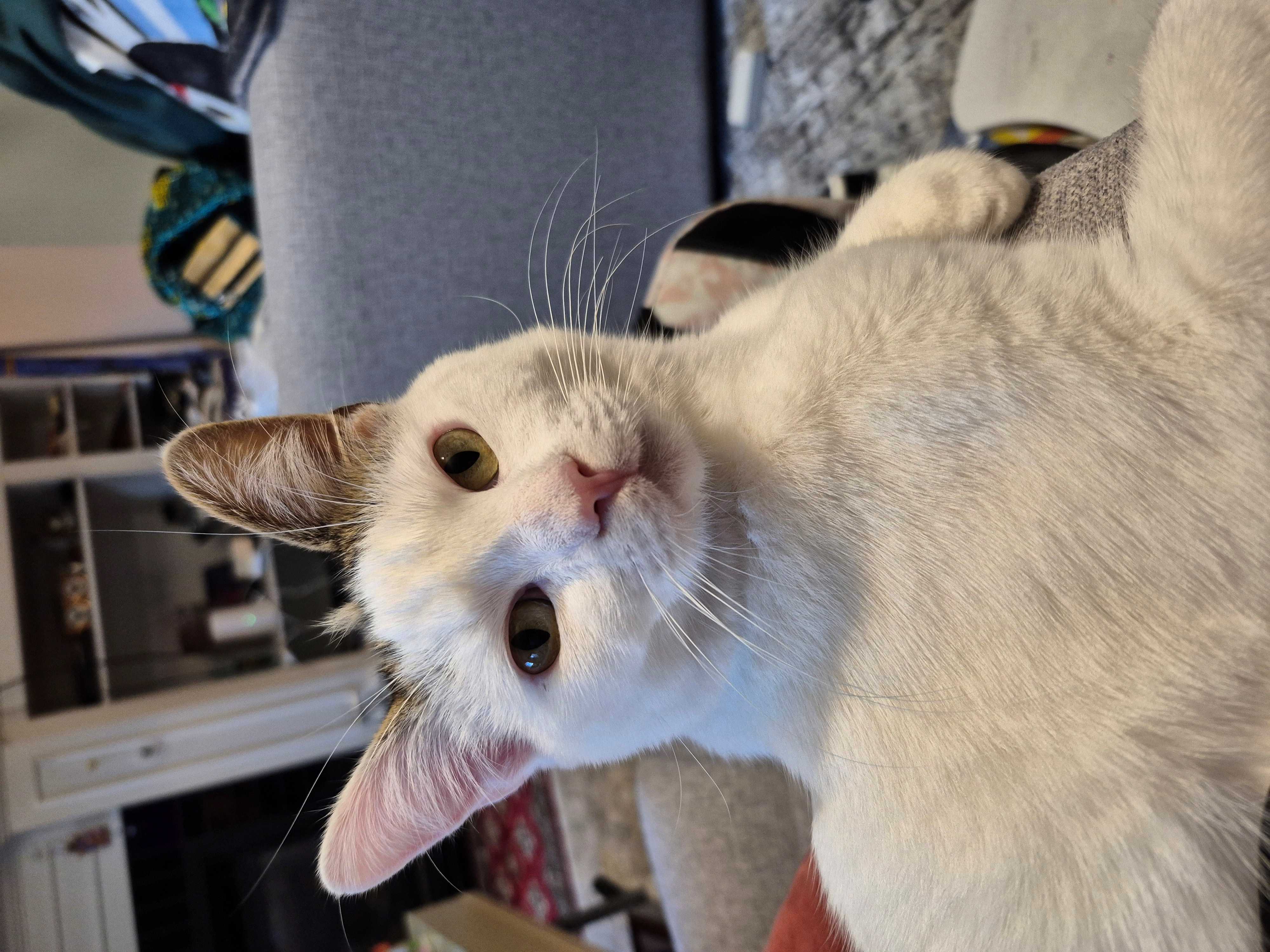 Billy