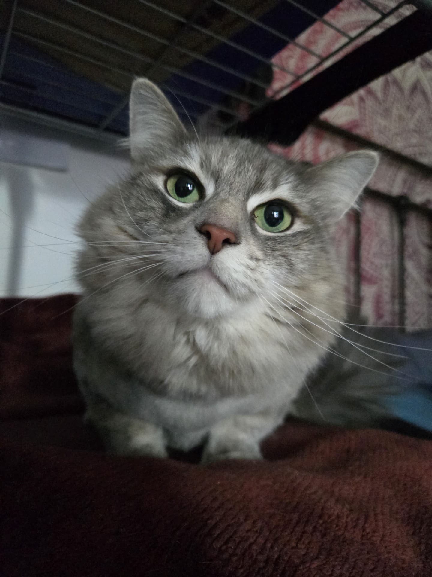 Sophia, photo 1 of 3