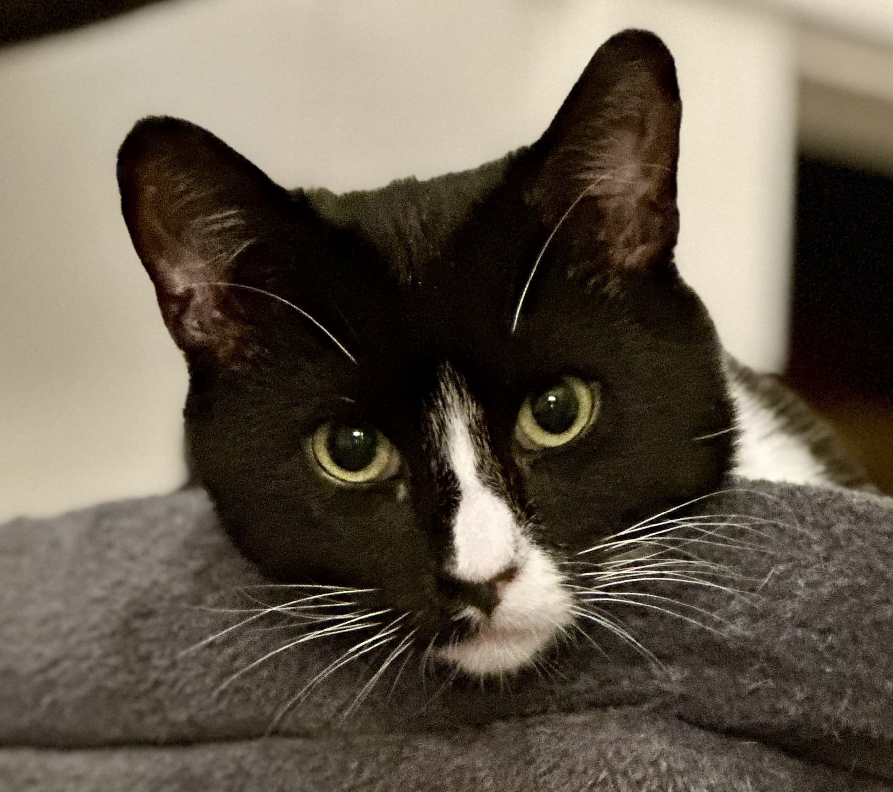 Sebastian