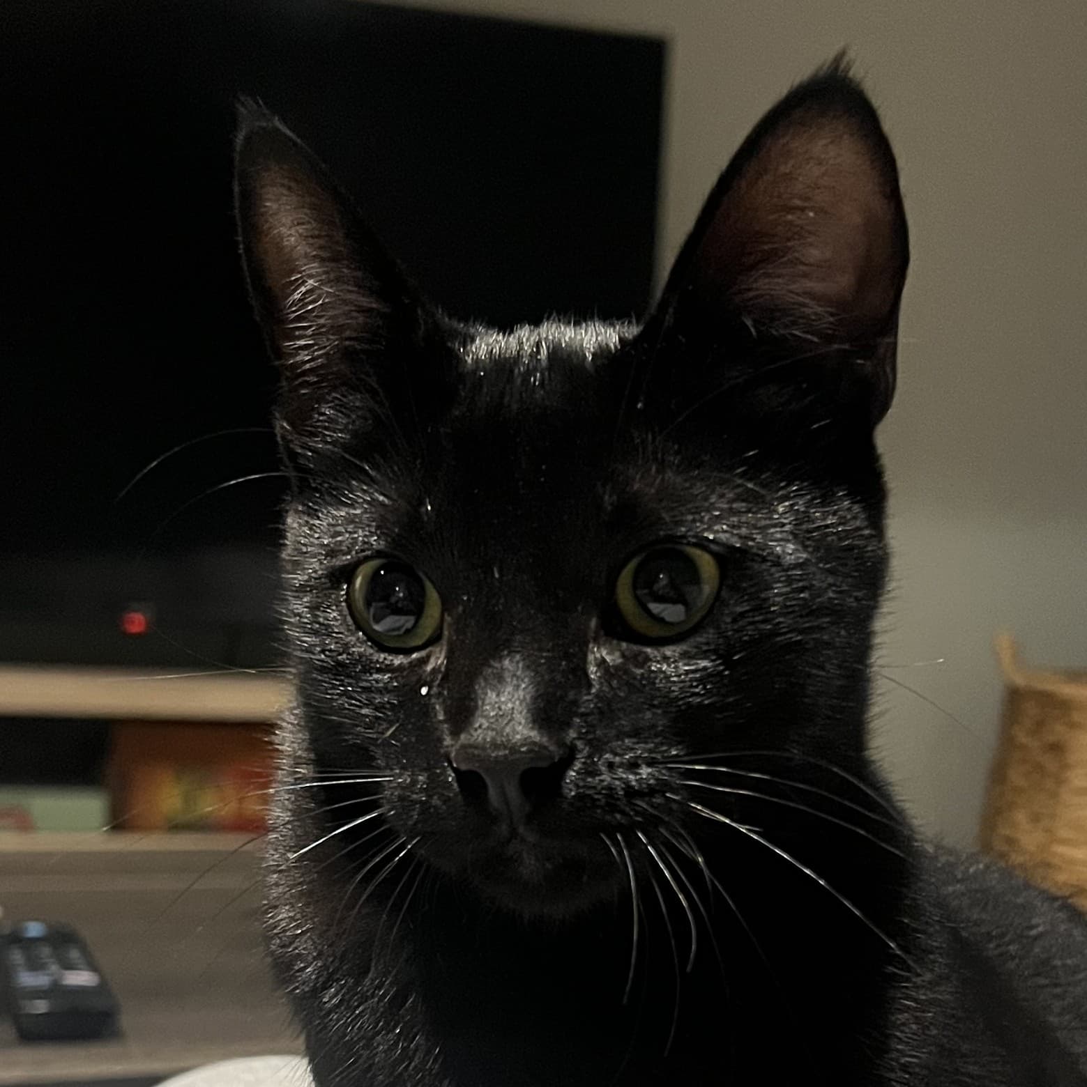 Marcel