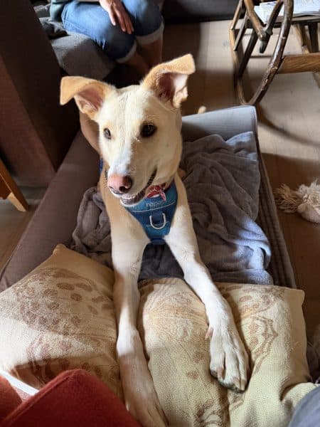 Ember, photo 8 of 8