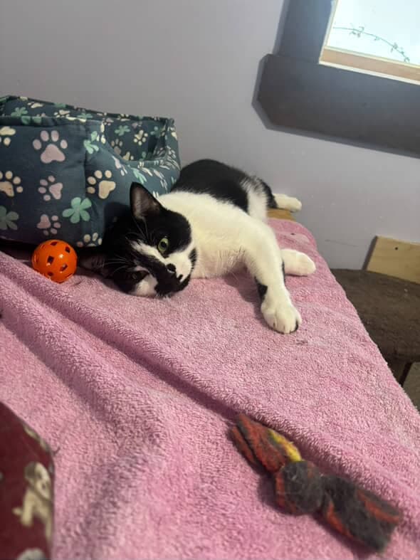 Vinny, photo 7 of 8