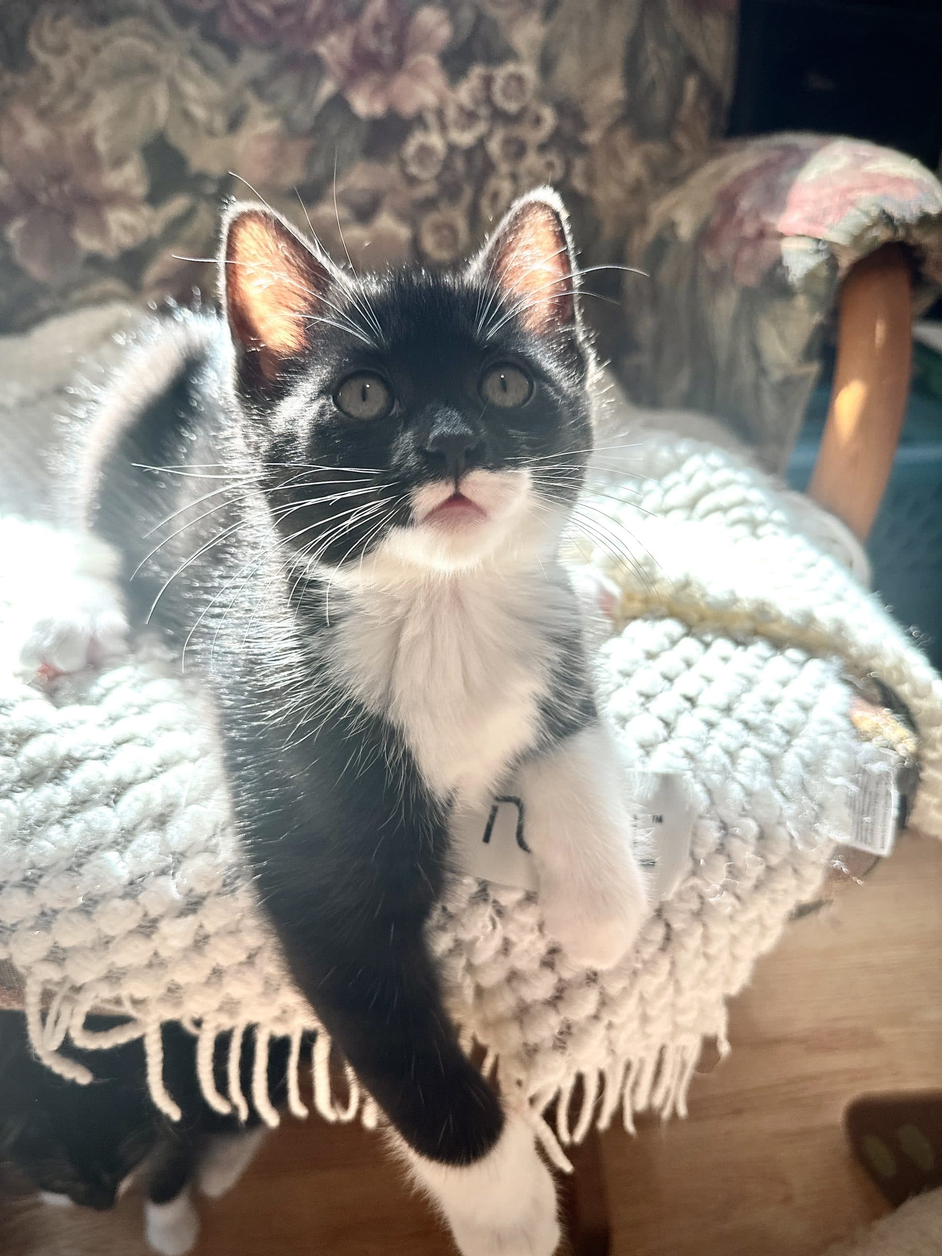 Gabby, photo 5 of 5