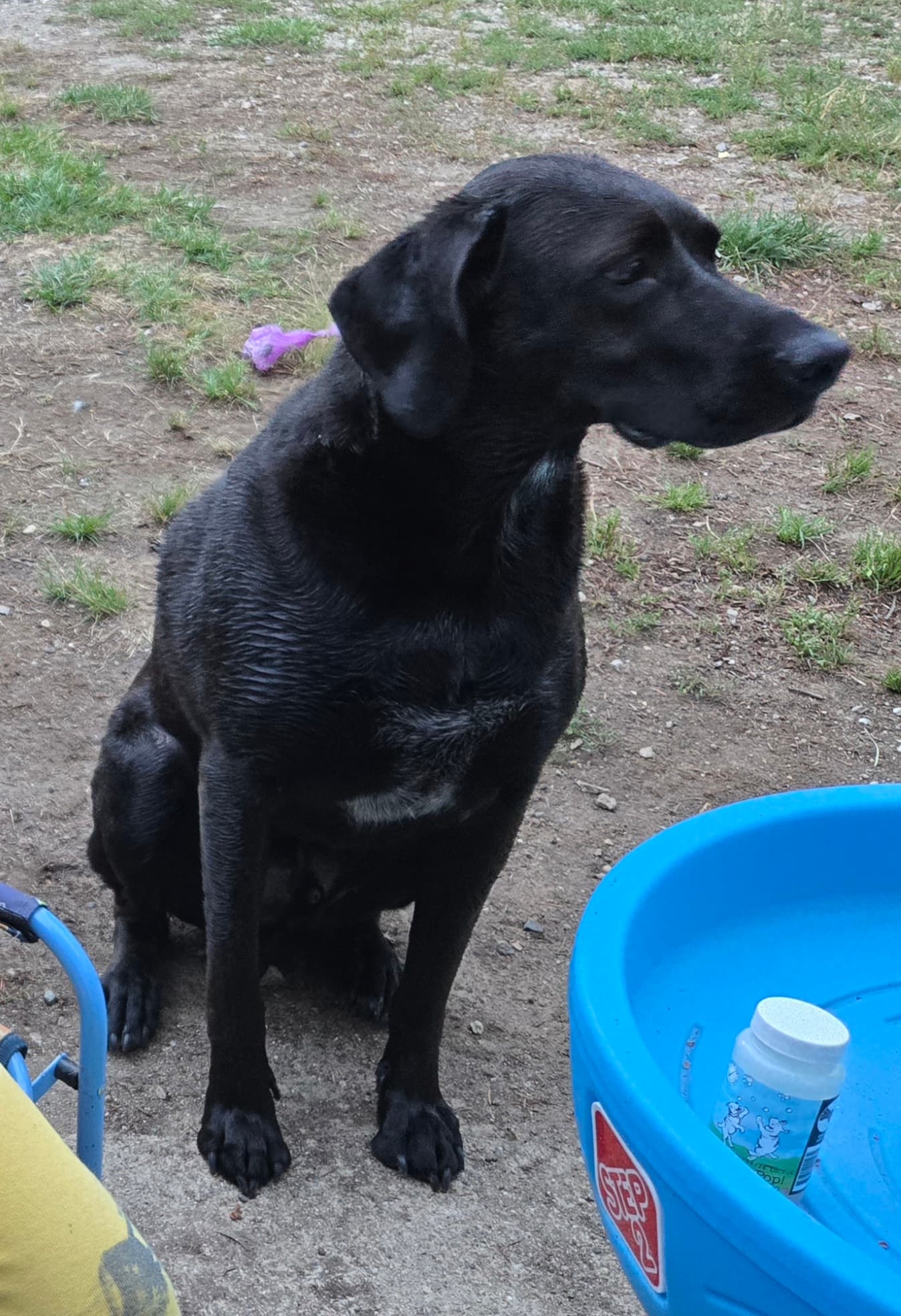 Max, photo 3 of 3