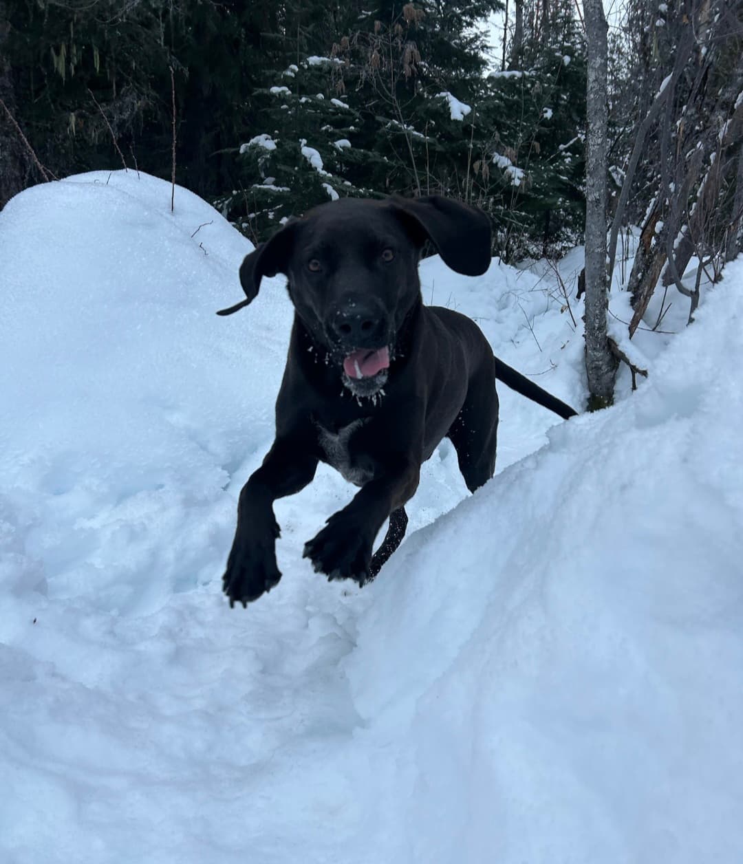 Max