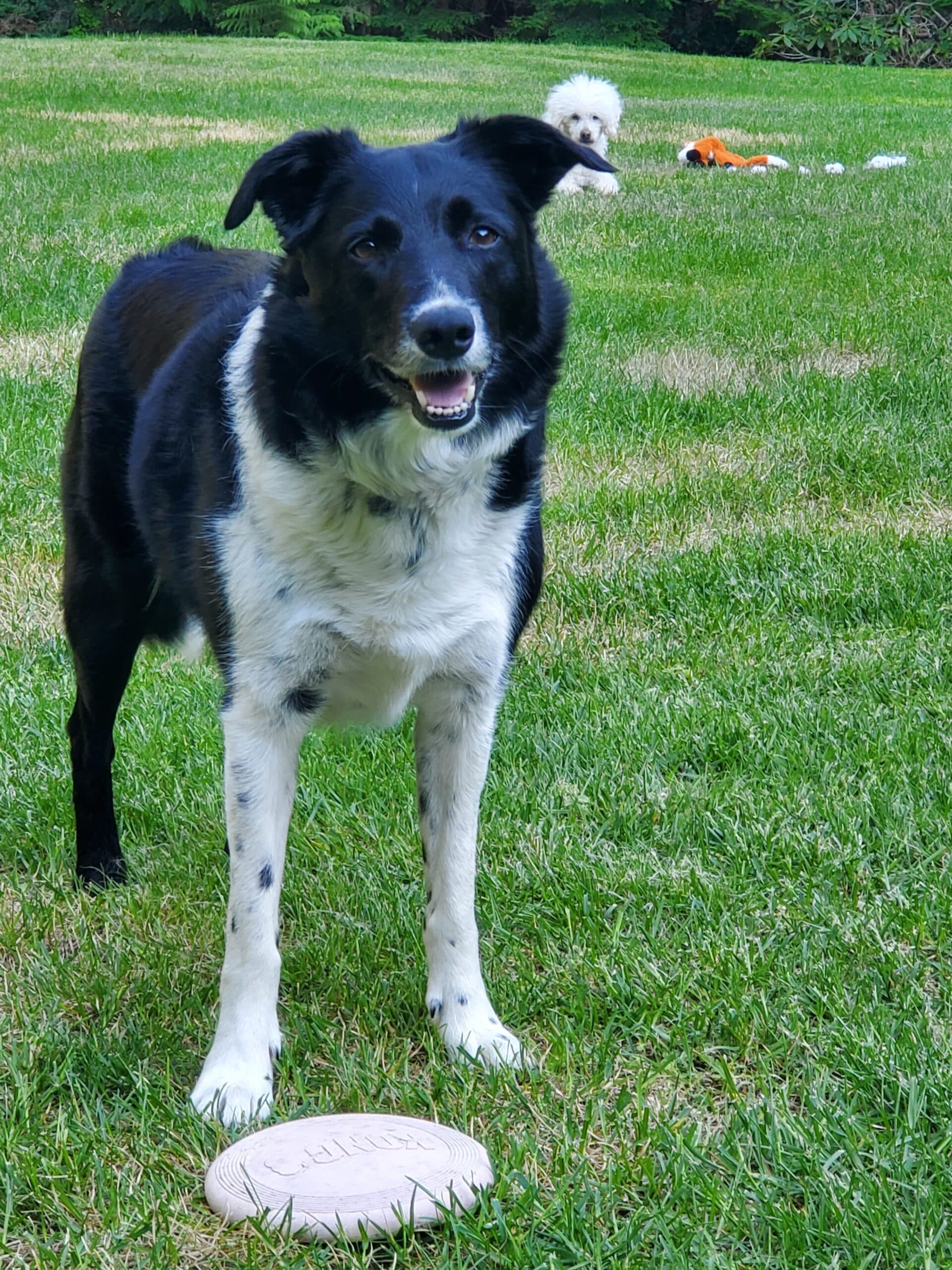 Betty, photo 4 of 6