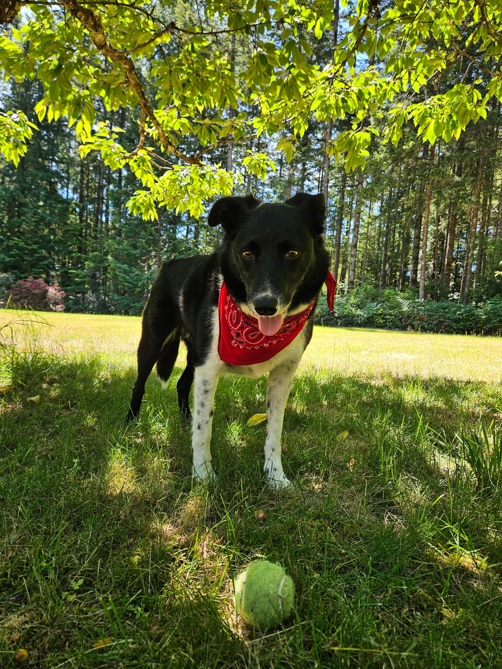 Betty, photo 2 of 6
