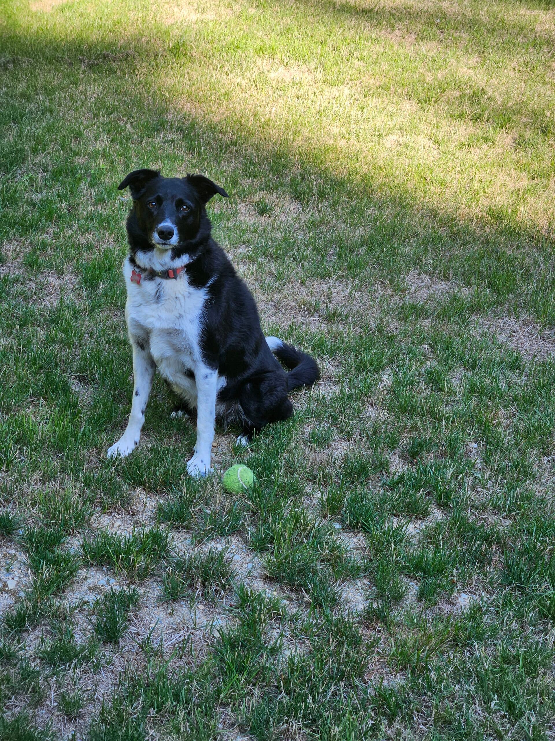 Betty