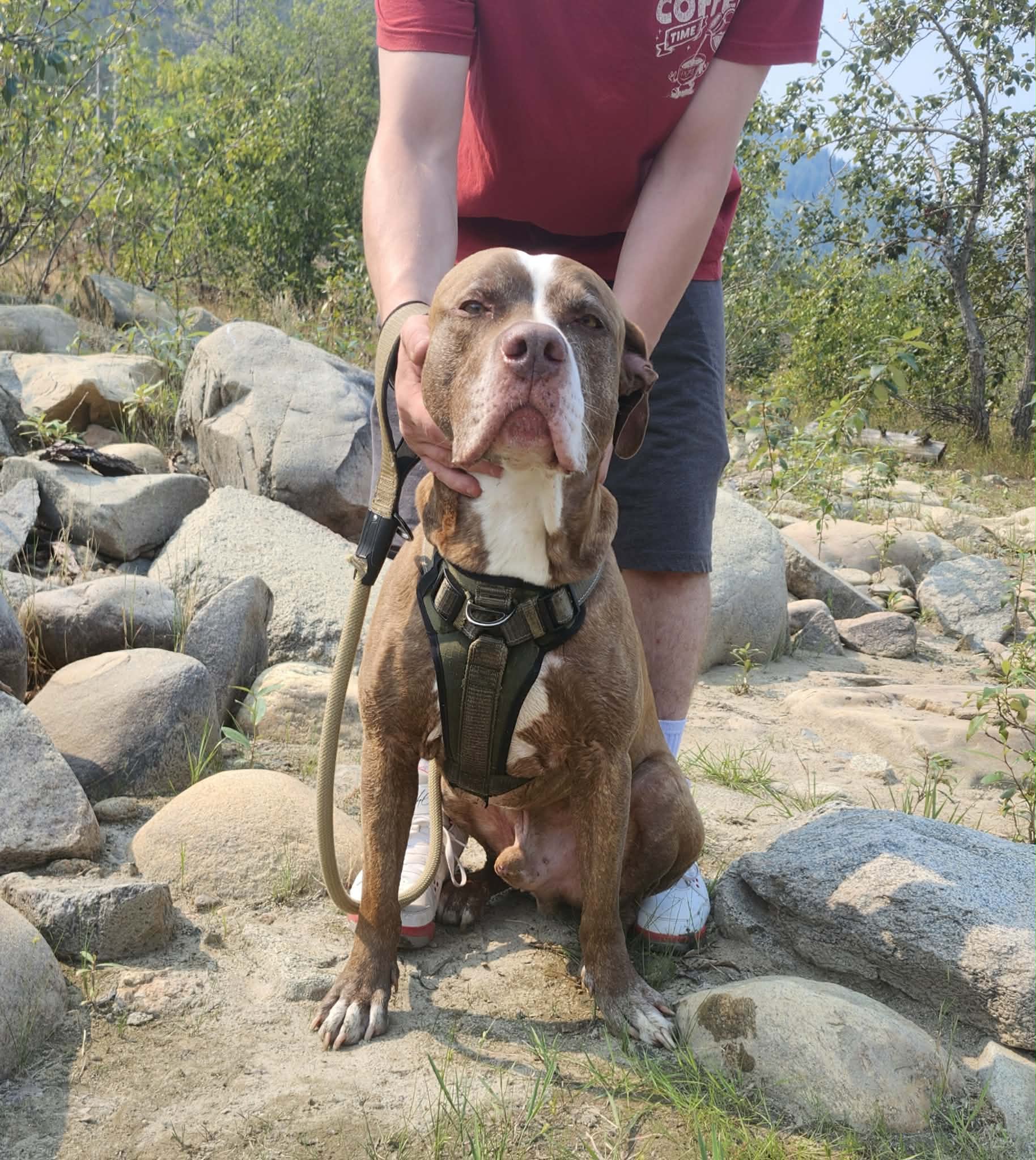Kelo, photo 3 of 4