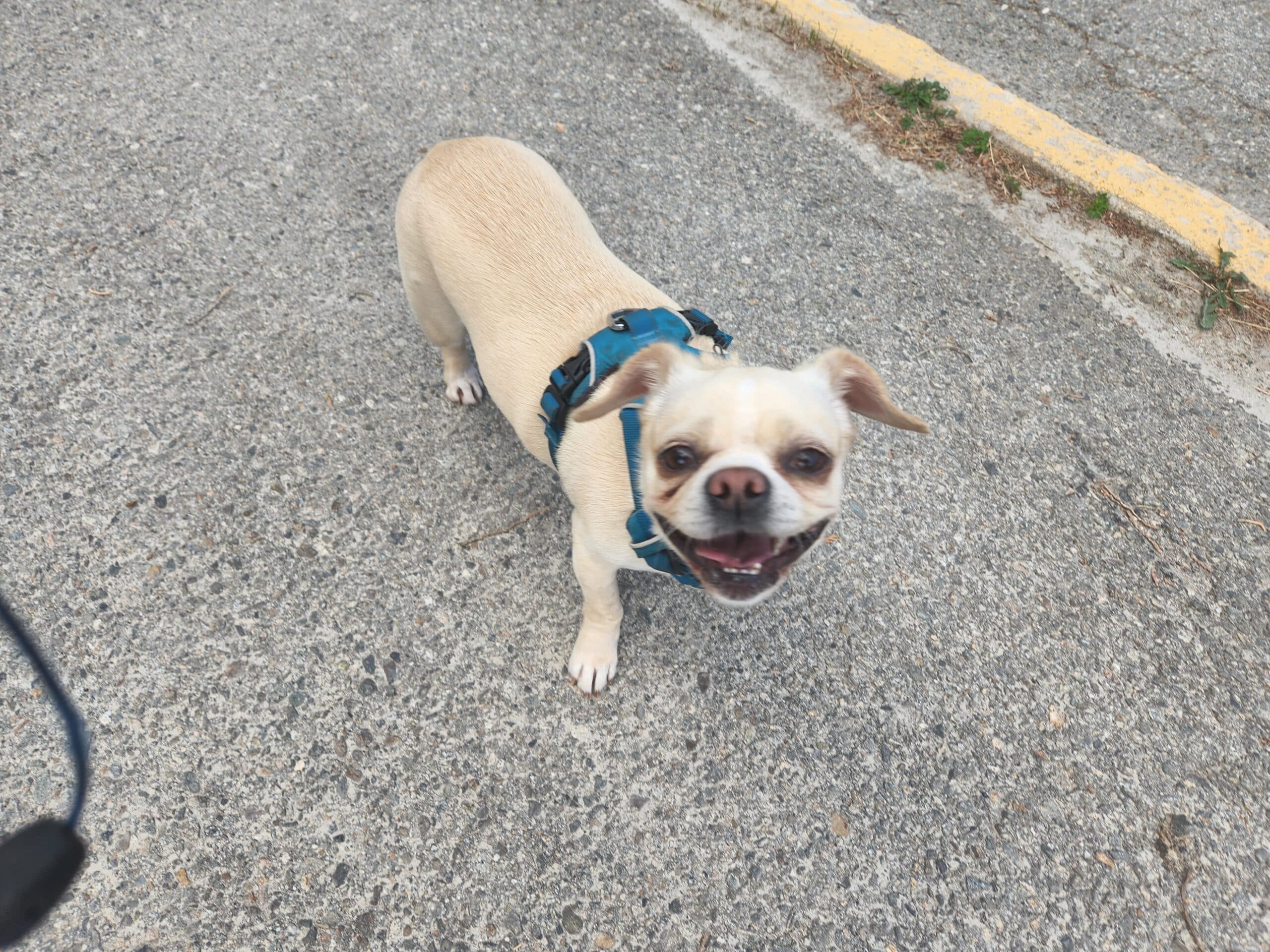 Lindy Lou, photo 2 of 7