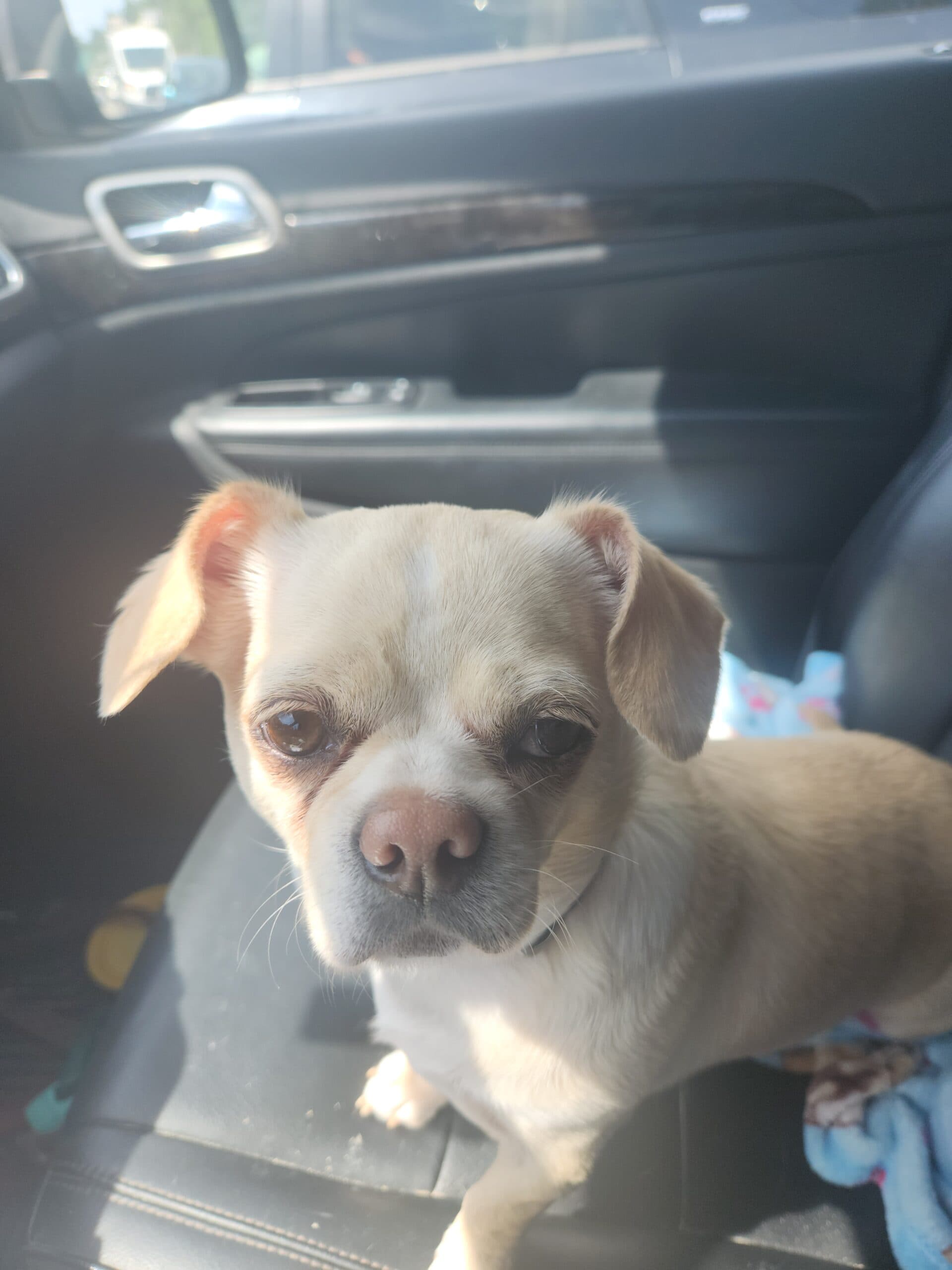 Lindy Lou, photo 7 of 7