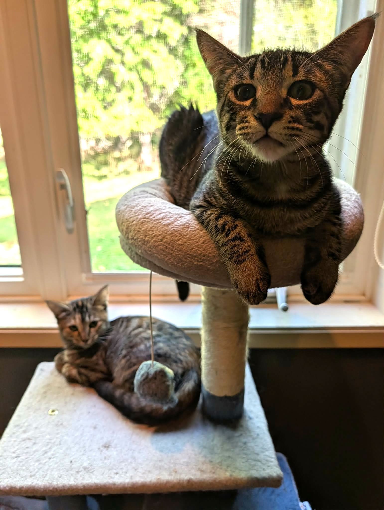 Evan and Ellie