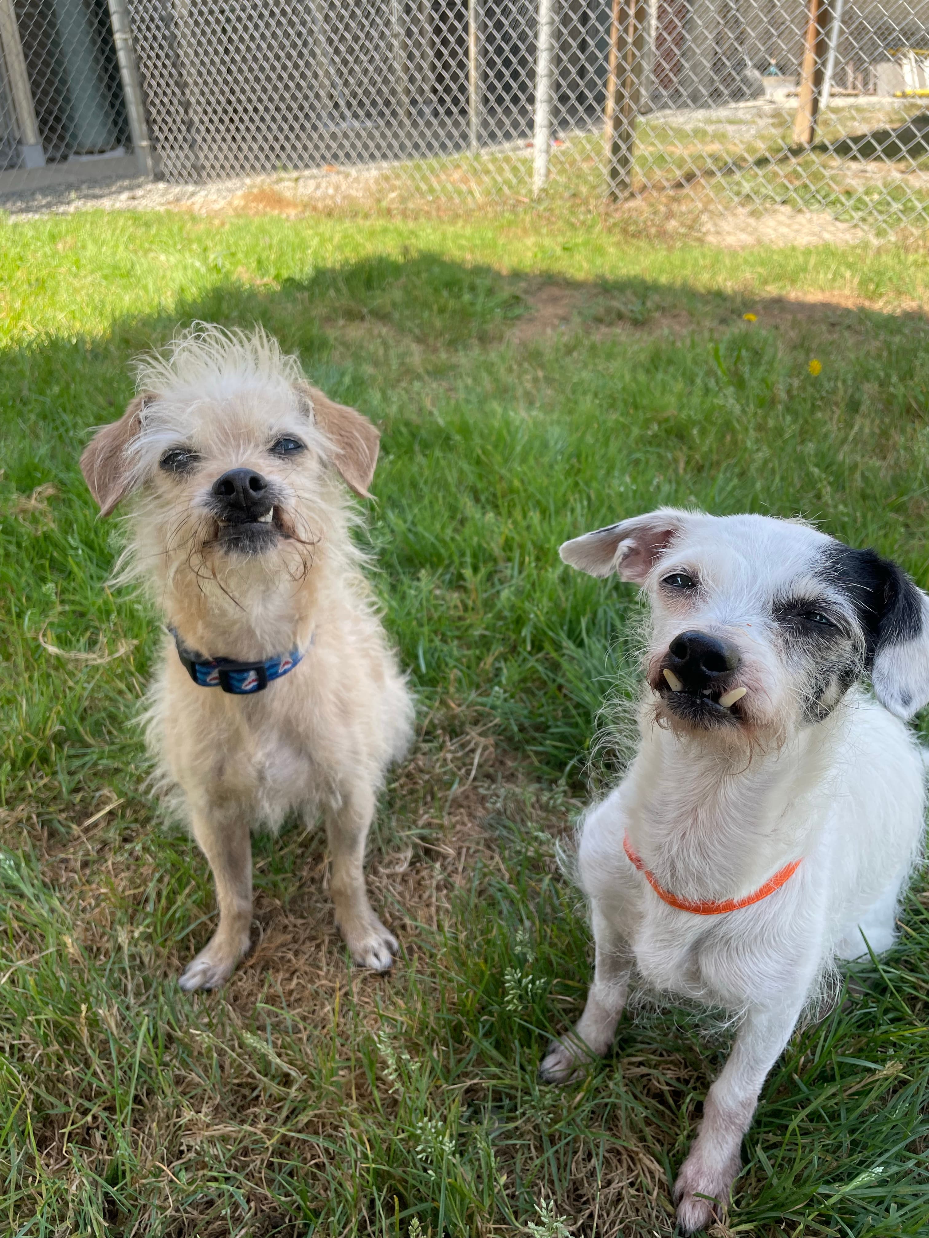 Lulu and Endako, photo 4 of 8