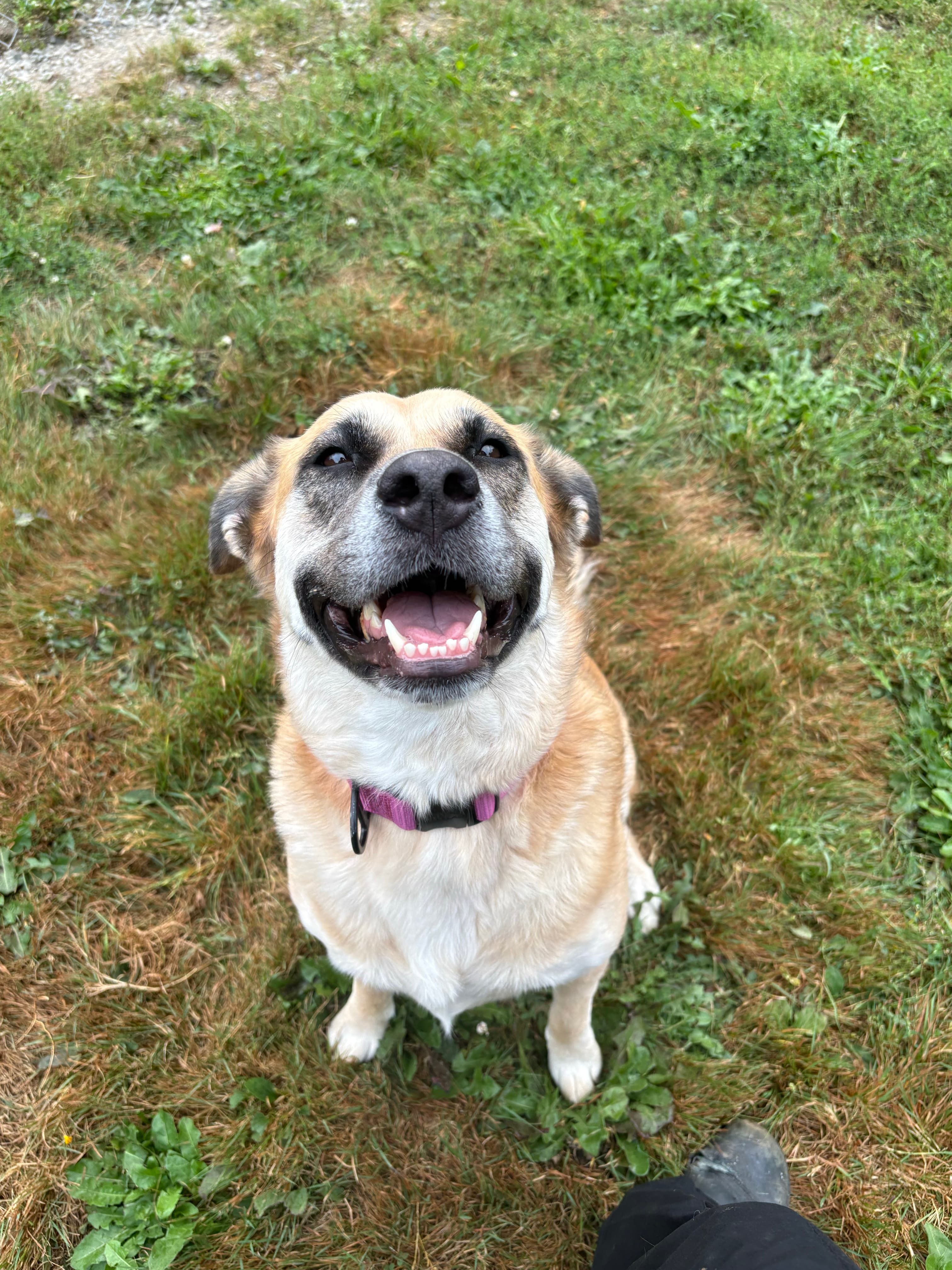 Kira, photo 3 of 6