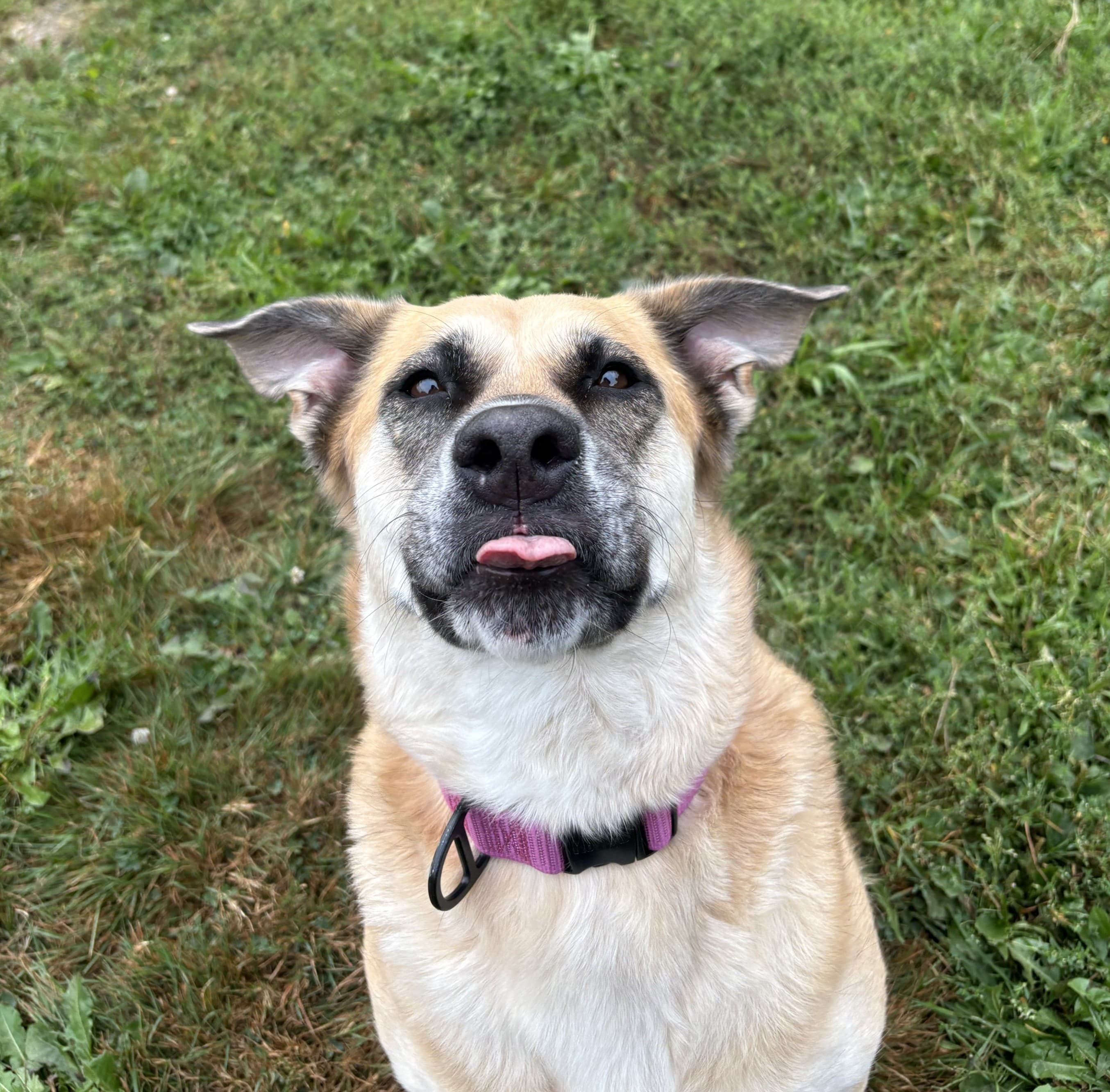 Kira, photo 2 of 6