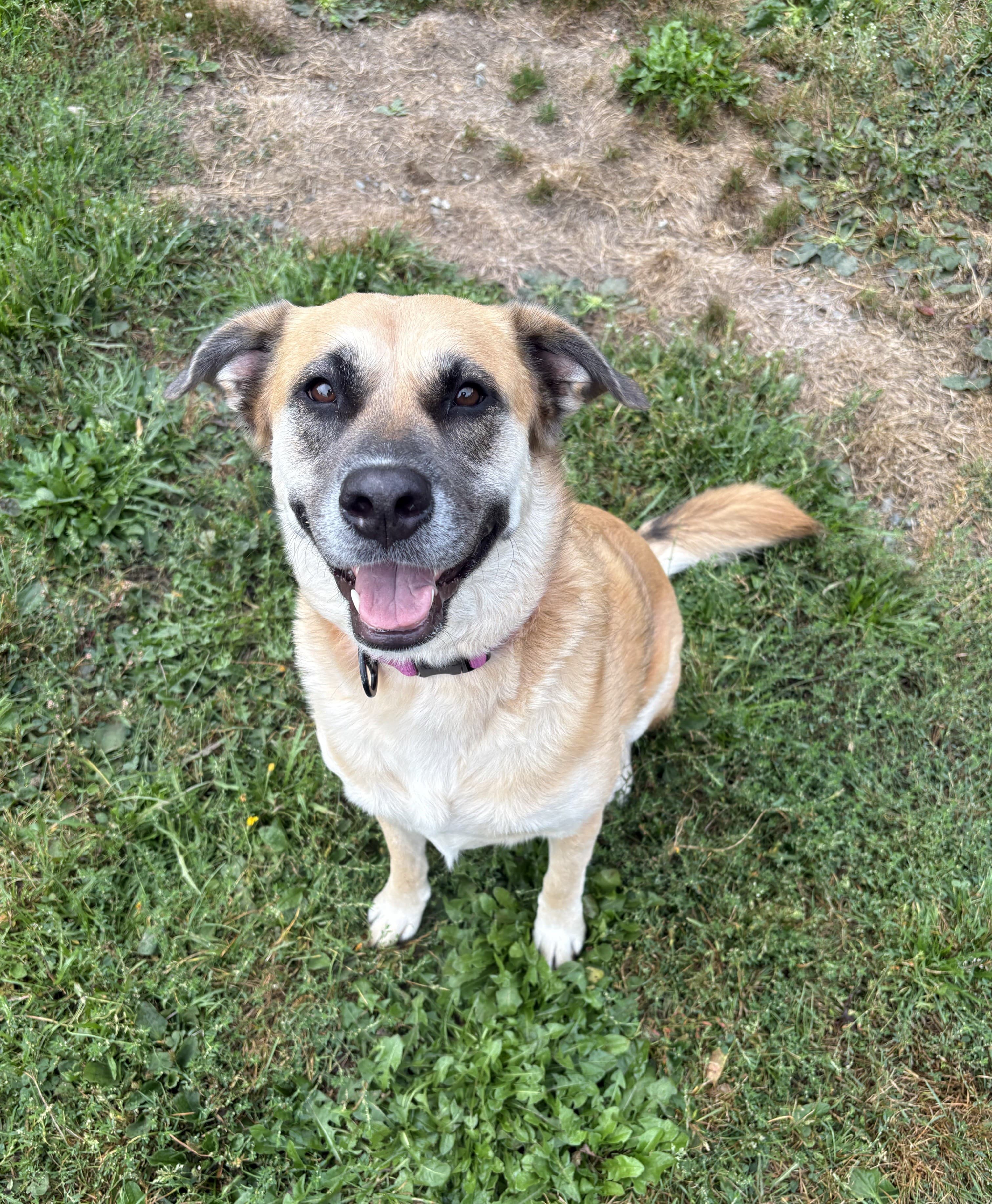 Kira, photo 6 of 6