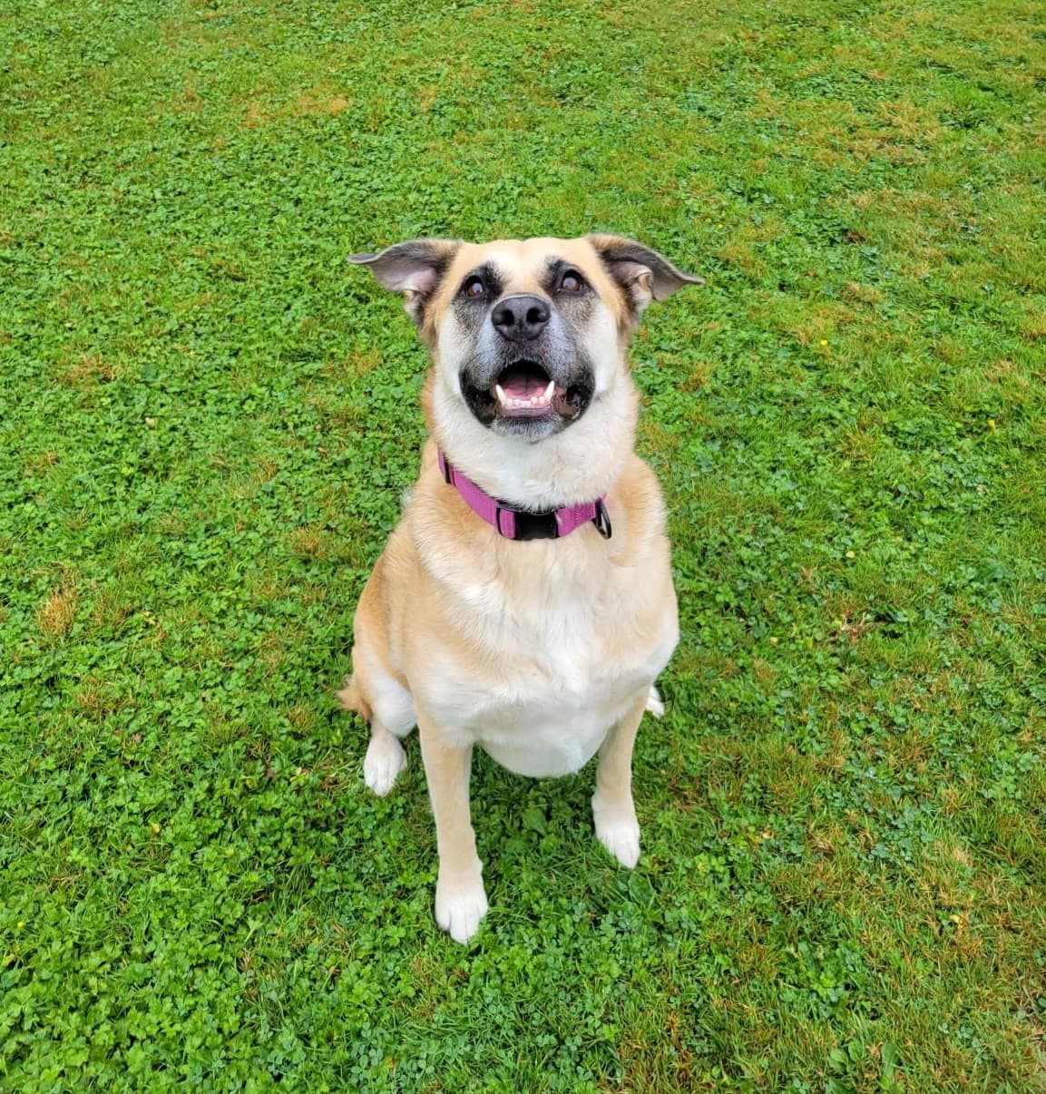 Kira, photo 5 of 6