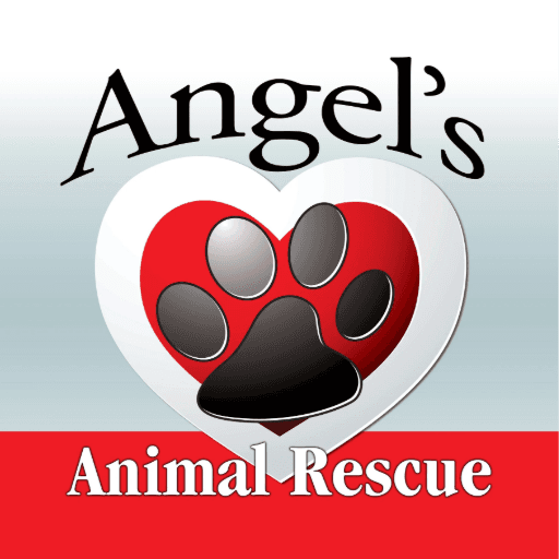 Angel's Animal Rescue
