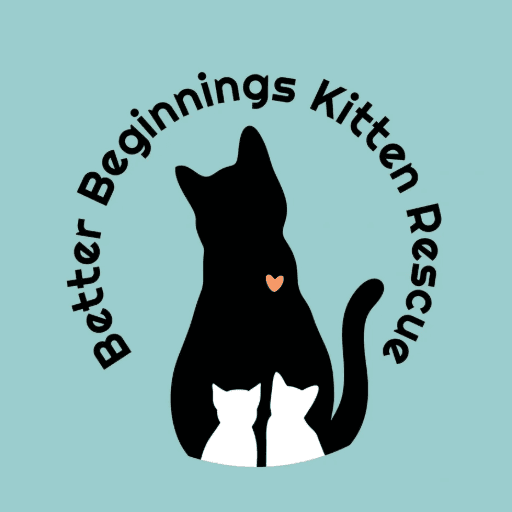 Better Beginnings Kitten Rescue