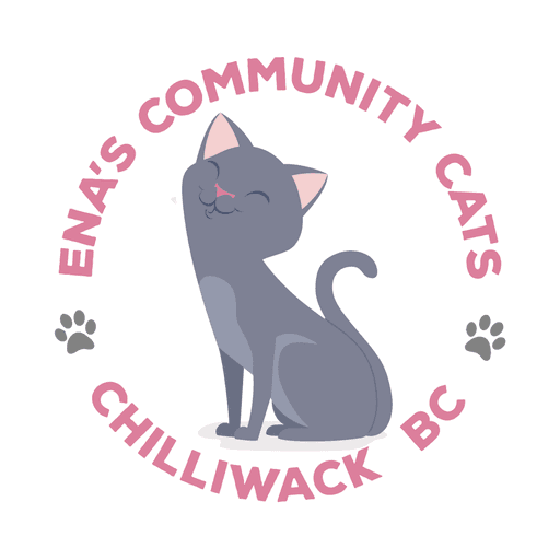 ENAS Community Cats