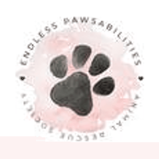 Endless Pawsabilities