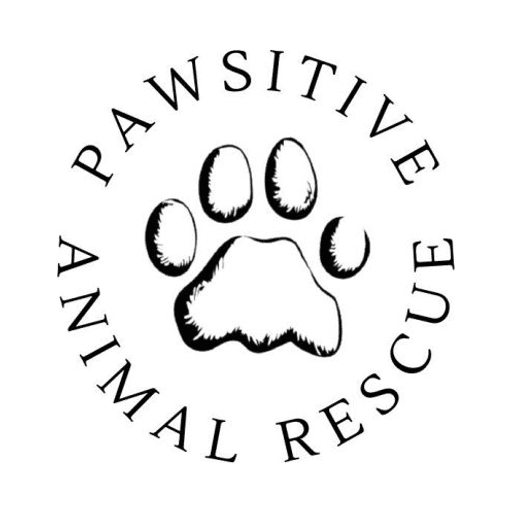 Pawsitive Animal Rescue