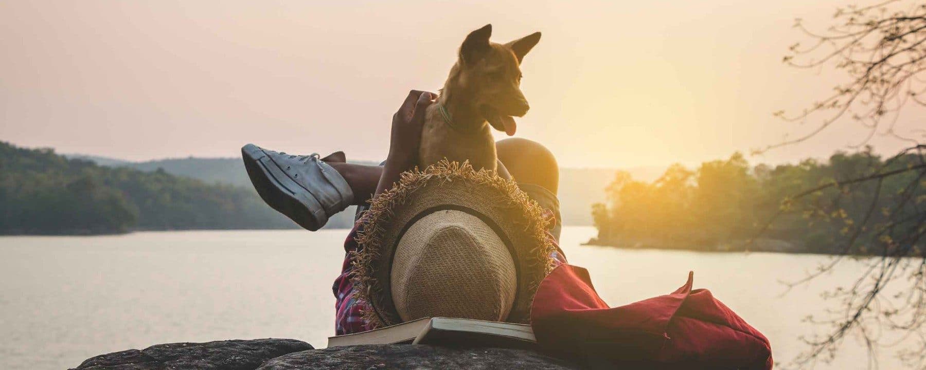 Raincoast Dog Rescue