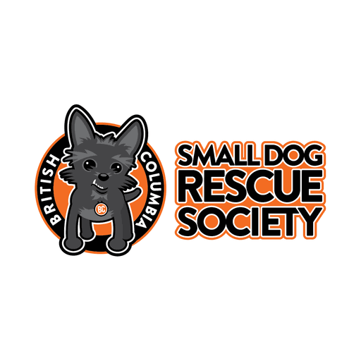 Small Dog Rescue BC